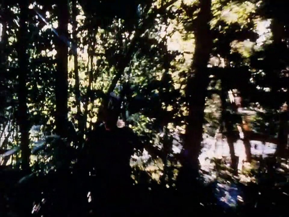 Sniper - Der Scharfschütze | movie | 1993 | Official Trailer