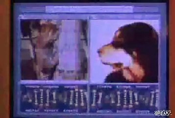 Der Tod kommt auf vier Pfoten | movie | 1993 | Official Trailer