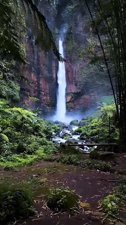 Nature Waterfall
