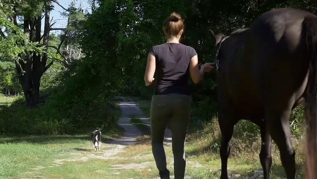 Η Μαύρη Καλλονή | movie | 2015 | Official Trailer