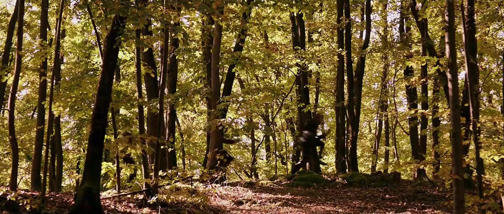 Outside the Box | movie | 2016 | Official Trailer