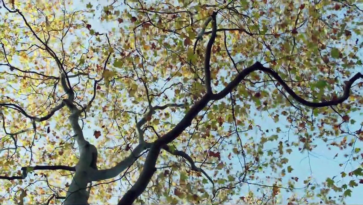 Departure | movie | 2016 | Official Trailer