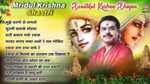 Mridul Krishna Shastri Beautiful Krishna Bhajan   -   Bankey Bihari Best Bhajan || Shri Krishna Bhajan