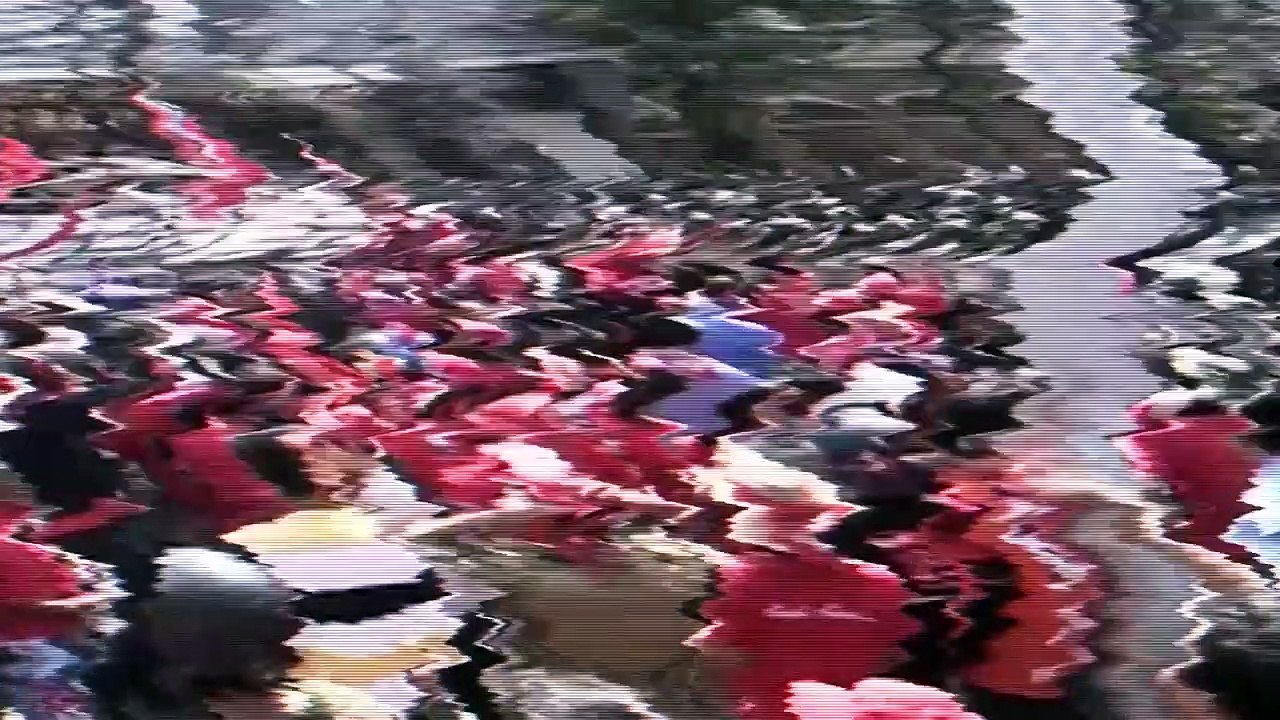 Josh Blue: Delete | movie | 2016 | Official Trailer