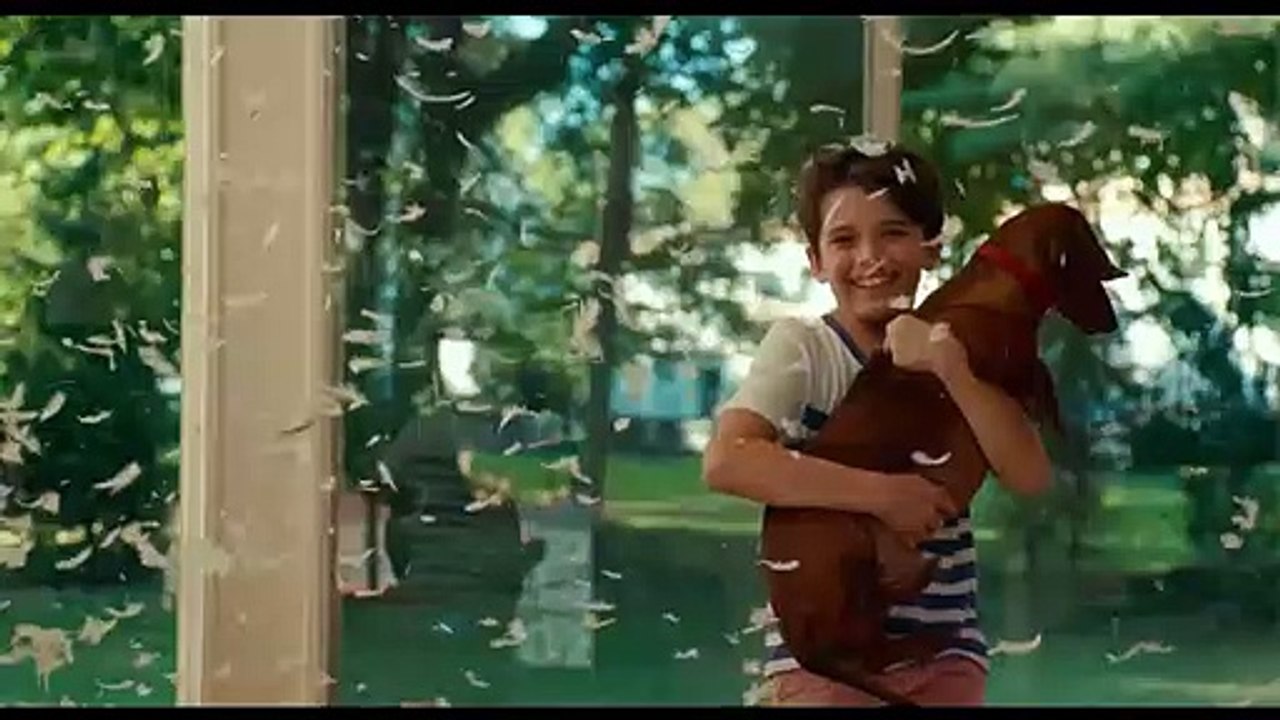 Wiener Dog | movie | 2016 | Official Trailer