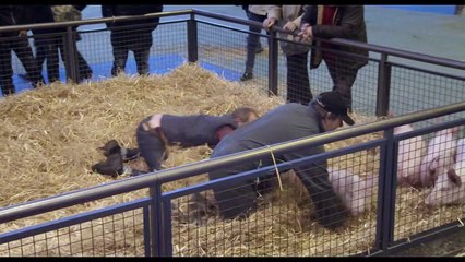 Сент-Амур: Удовольствия любви | movie | 2016 | Official Trailer