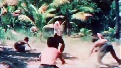 In der Höhle des schwarzen Panthers | movie | 1977 | Official Trailer