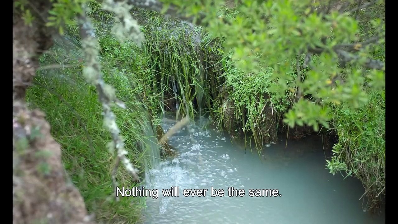 The Untamed | movie | 2016 | Official Trailer