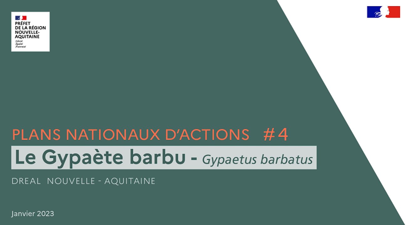Plans Nationaux d'Actions #4 - Le Gypaète barbu (Gypaetus barbatus)