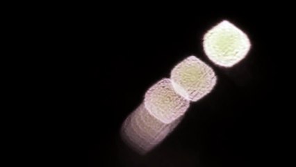 Sleep 3: REM | movie | 2010 | Official Featurette