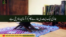 Muharram Ky 2nd Jummah Aik Tasbih Ka Mojza - Rizaq - Dolat - Qurani Wazifa