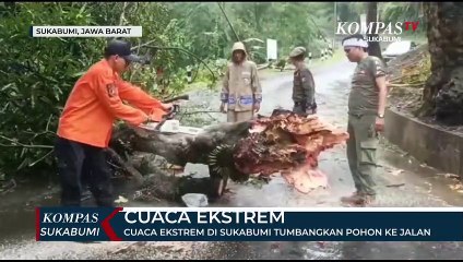 Cuaca Ekstrem Di Sukabumi Tumbangkan Pohon Ke Jalan