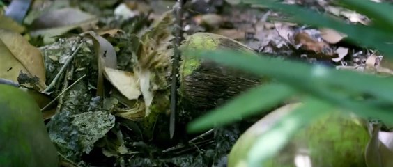 Добыча (2019) — Официальный трейлер | Трудный подросток на перевоспитании в глуши