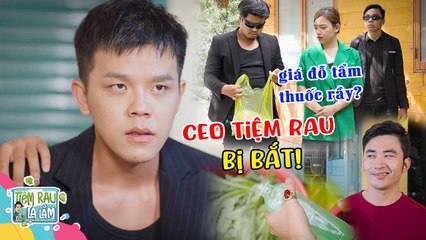 CEO RAU SẠCH Nhưng Bán GIÁ ĐỖ TẨM THUỐC RẦY