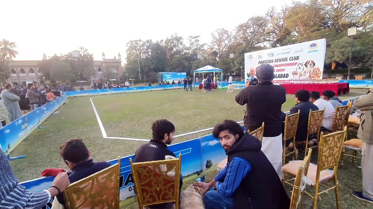 DOG SHOW