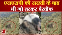 Bareilly News; SSP की सख्ती के बाद भी गो तस्कर बेखौफ, बिथरी इलाके में मिले पशुओं के अवशेष