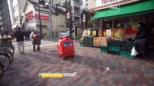 Japan will allow self-driving delivery robots to roam its streets to combat labour shortages