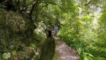 Evolution episode 3 - Madeira