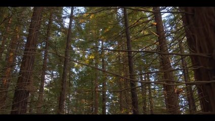 Behind the Scenes of 'Broken Flesh' (2021) | Official Teaser 🎬