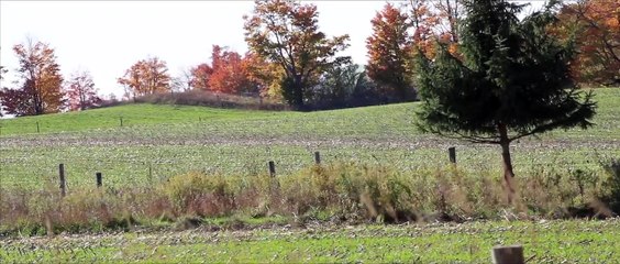 Was it a Dream | movie | 2020 | Official Featurette