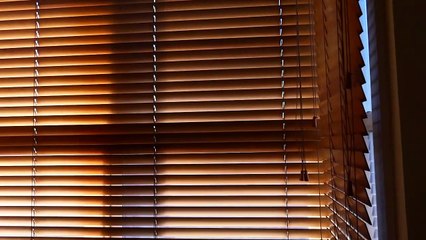 Inside Hope | movie | 2022 | Official Featurette