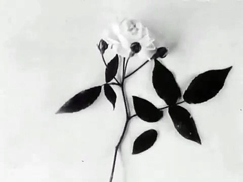 Comic Mutations | movie | 1909 | Official Featurette