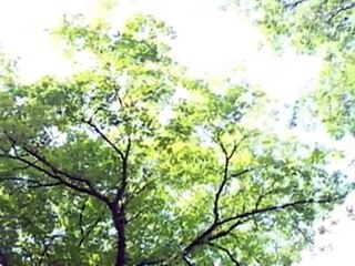 Boat | movie | 2007 | Official Featurette