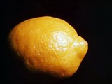 Lemon | movie | 1969 | Official Featurette