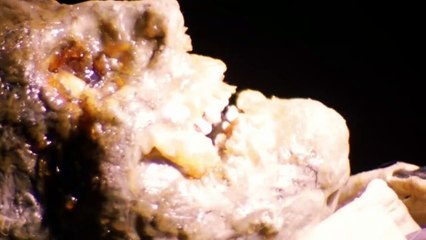 La matanza de Texas | movie | 1974 | Official Featurette