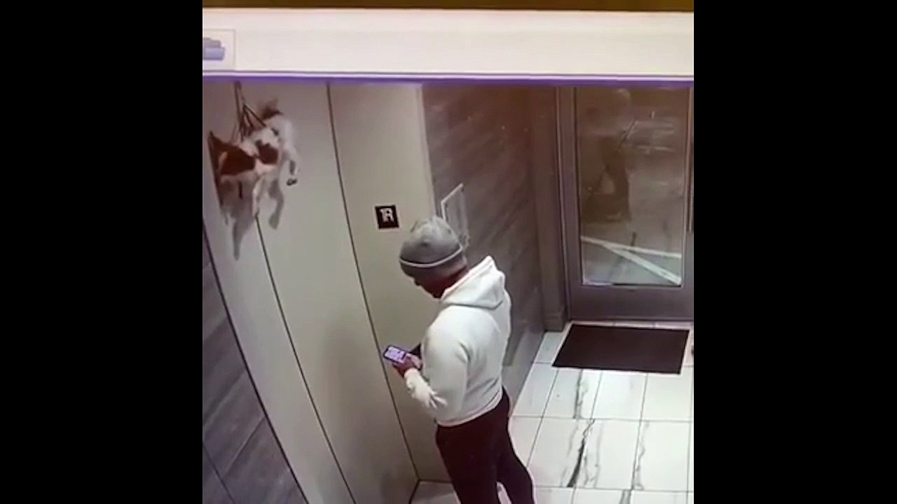 Cet homme est trop captivé par son téléphone pour remarquer un détail évident