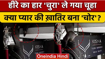 Thief Rat Stolen Diamond Necklace: गहने की दुकान से हार चुराते चूहे का Video Viral | वनइंडिया हिंदी