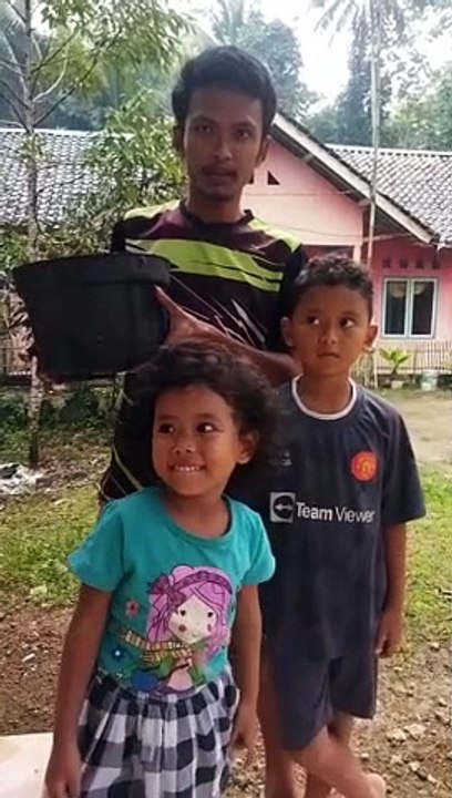 Menanam buah lato-lato