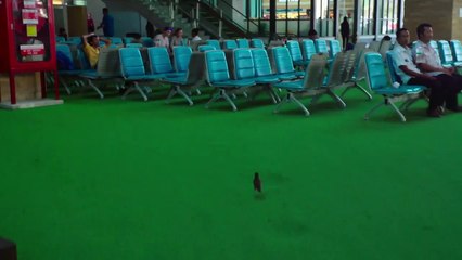 Love Poem | movie | 2020 | Official Featurette