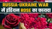 Rose Export in India: Russia-Ukraine war में इंडियन Rose का फायदा| Rose Day Special| GoodReturns