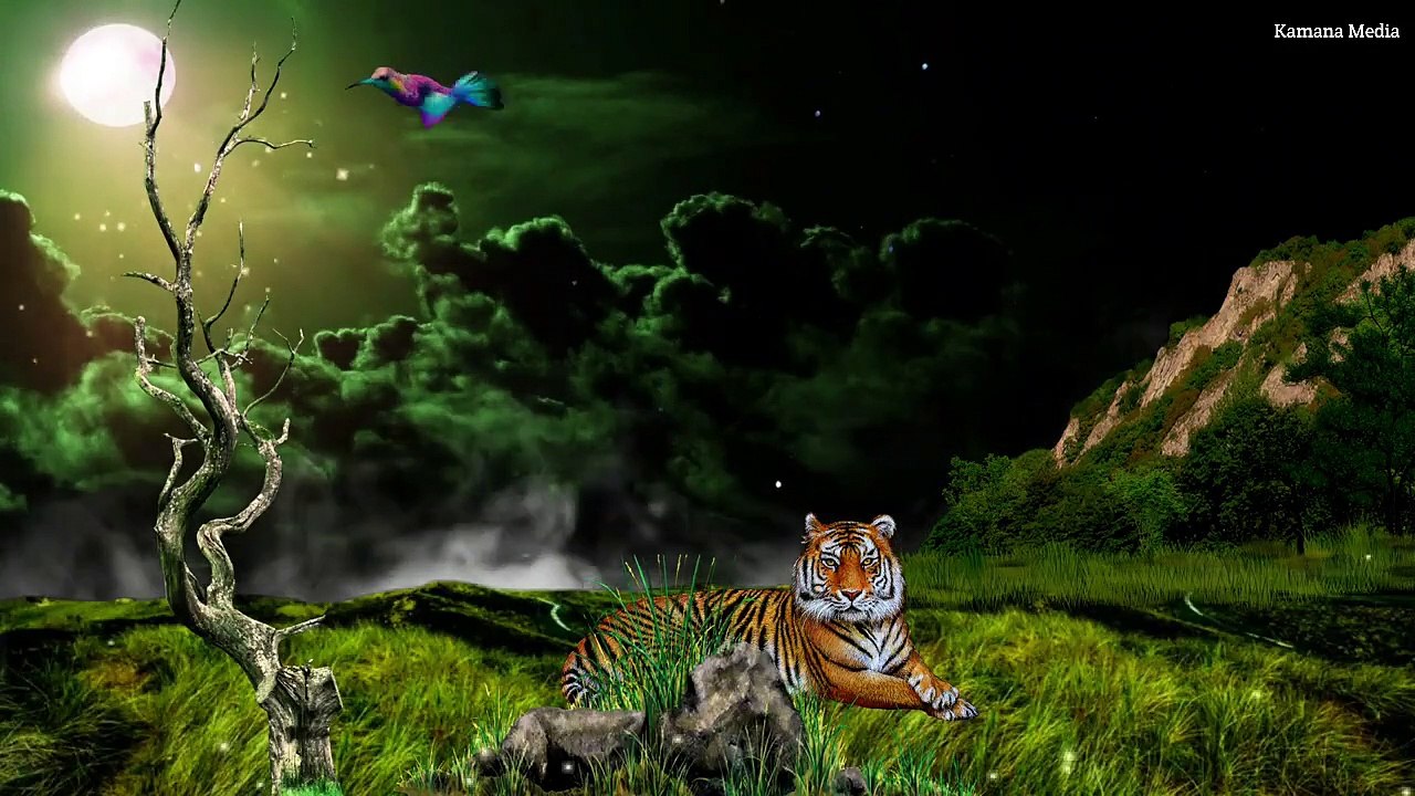 Template video background, Nature template video