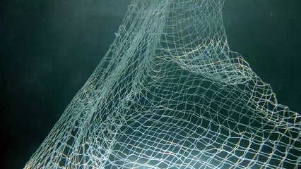 Hunting For Pearls | movie | 2014 | Official Clip