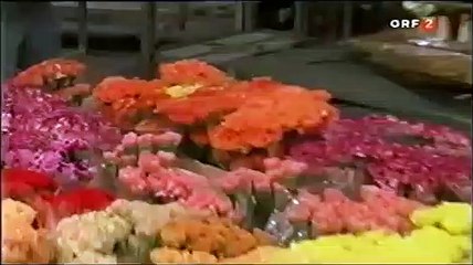 Leaf and Blossom - The Inheritance | movie | 2004 | Official Clip