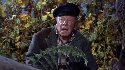 Immer Ärger mit Harry | movie | 1955 | Official Clip