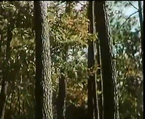 The Path Towards Uninterested Love | movie | 1972 | Official Clip