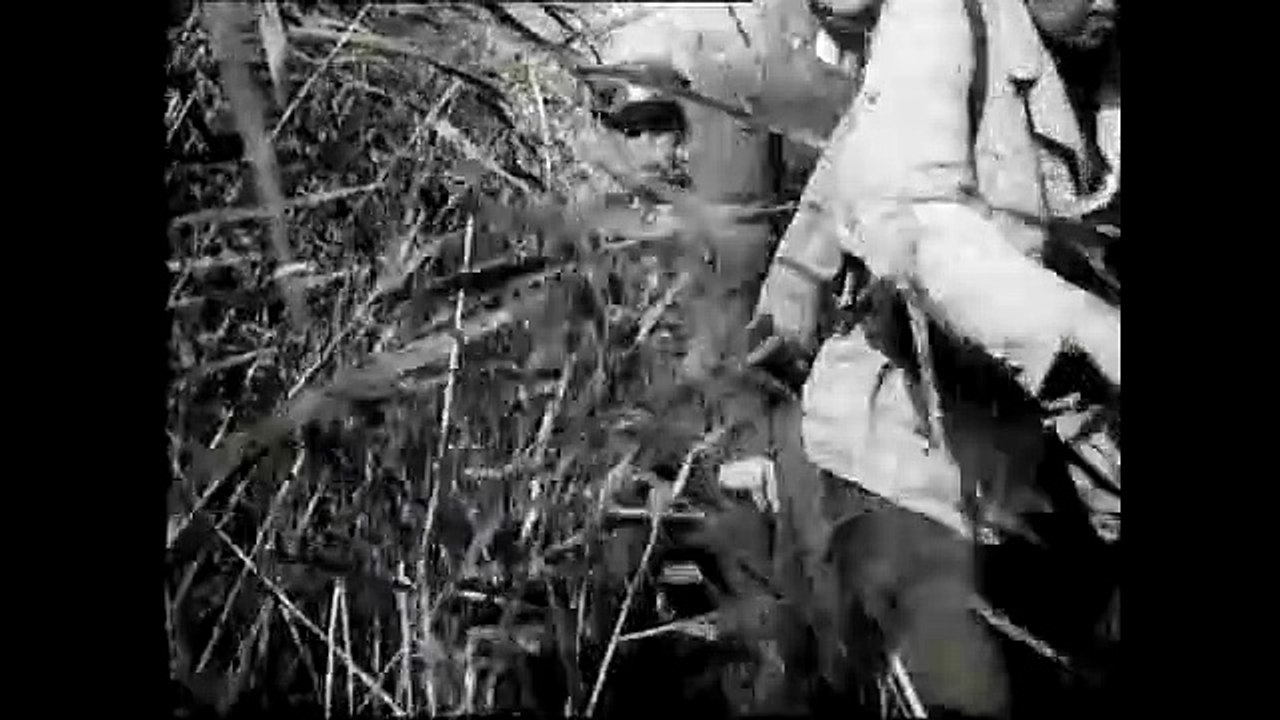 Flucht ins Schilf | movie | 1953 | Official Clip