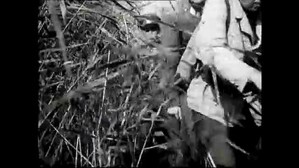 Flucht ins Schilf | movie | 1953 | Official Clip