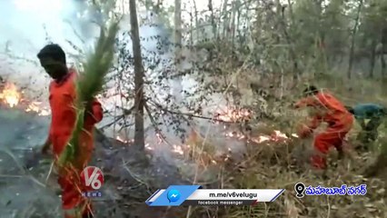 Fire Breaks Out From Forest _ Mahabubnagar _ V6 News