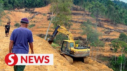 Livelihood lost to land clearing