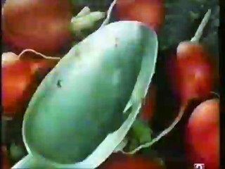 Dimensions of Dialogue | movie | 1983 | Official Clip