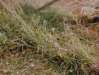Sená na Doščanke | movie | 1967 | Official Clip
