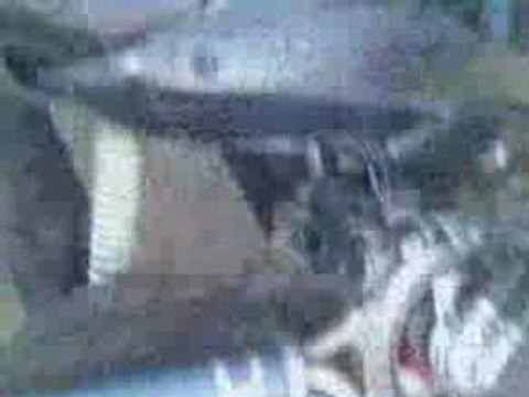 scoot pro race + team reglage