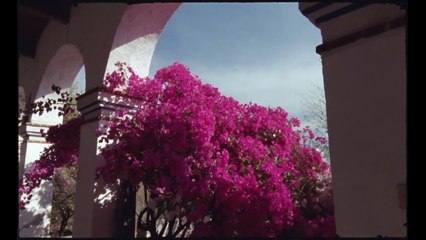 Agua Mágica | movie | 2021 | Official Clip