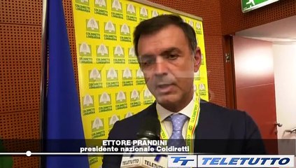 Video News - L'AGRICOLTURA CHIEDE SOSTEGNO
