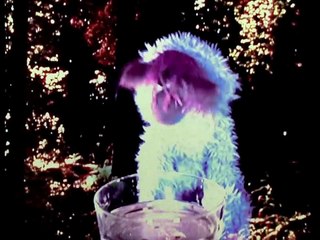 Touching Water for the First Time | movie | 2015 | Official Clip