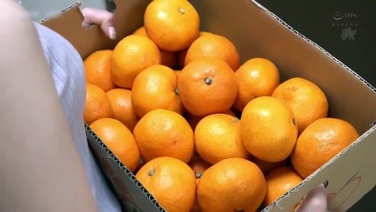 The Bitch That Was Hypnotized And Brainwashed Became A Dirty Slut. AIKA Yu Shinoda | movie | 2019 | Official Clip